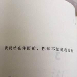 不在期待 没有感觉
