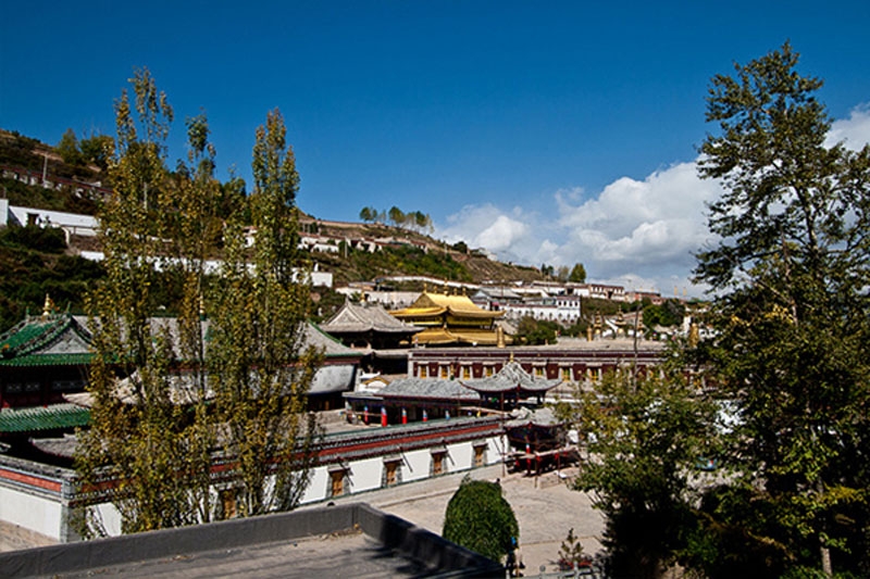雄伟的塔尔寺全景图片