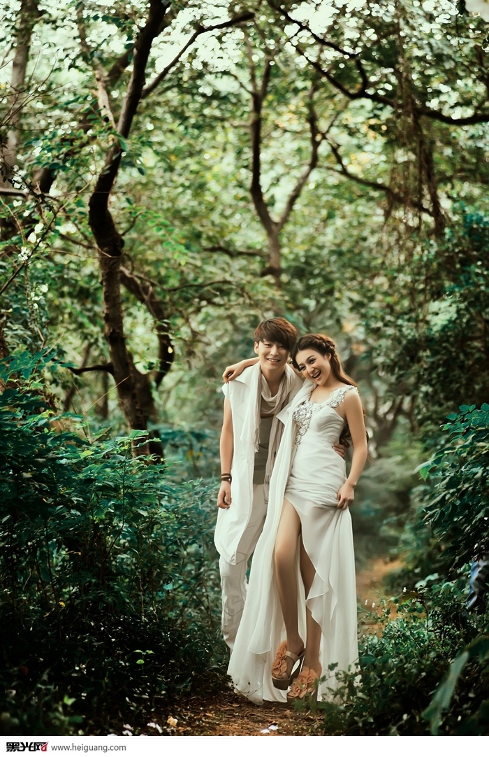 在树上唱歌 婚纱照