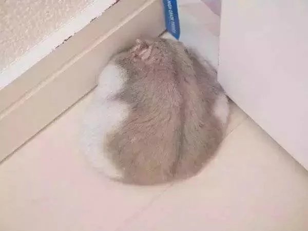 千万野心.