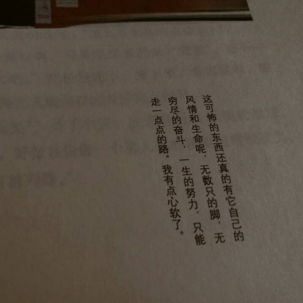 入谁话