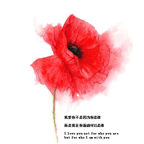 你可以不喜欢，但请别伤害