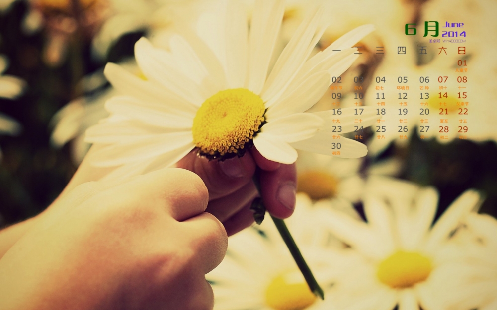 2014年6月日历壁纸唯美清新自然界小花图片