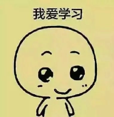 不要问我在干嘛了，除了学习，我还能干嘛！