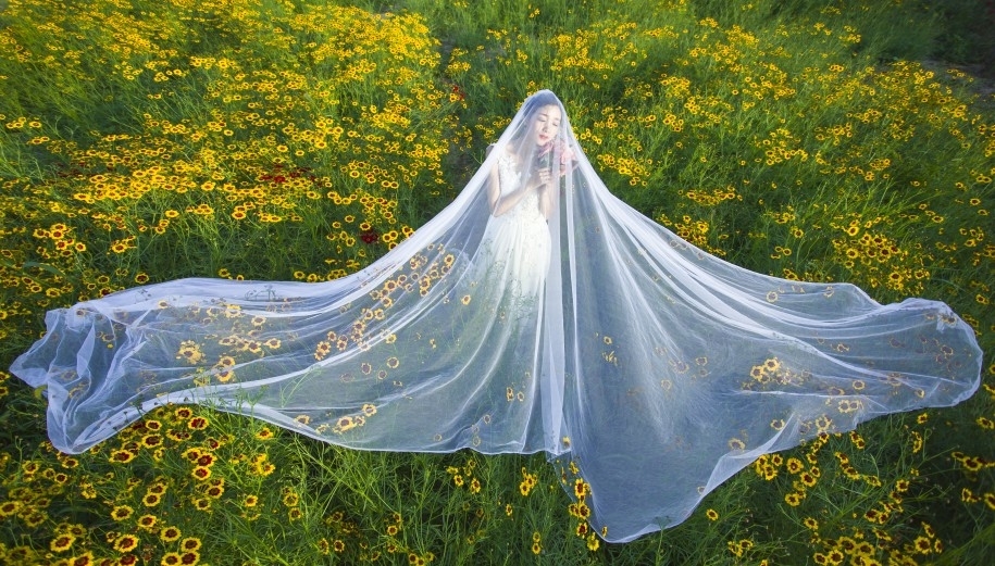 浪漫小黄花 婚纱照