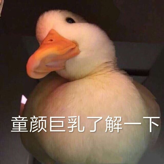 来自大肥鸭的小心心