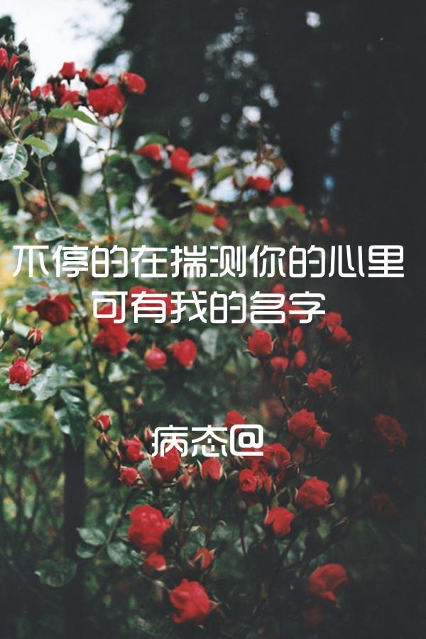 我的晚安只对你说