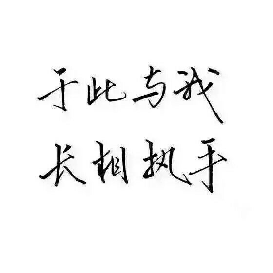 万般感情皆输岁月慢慢
