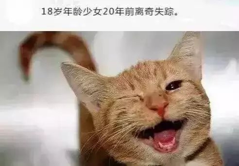 让我们回顾一下2015年的奇葩新闻