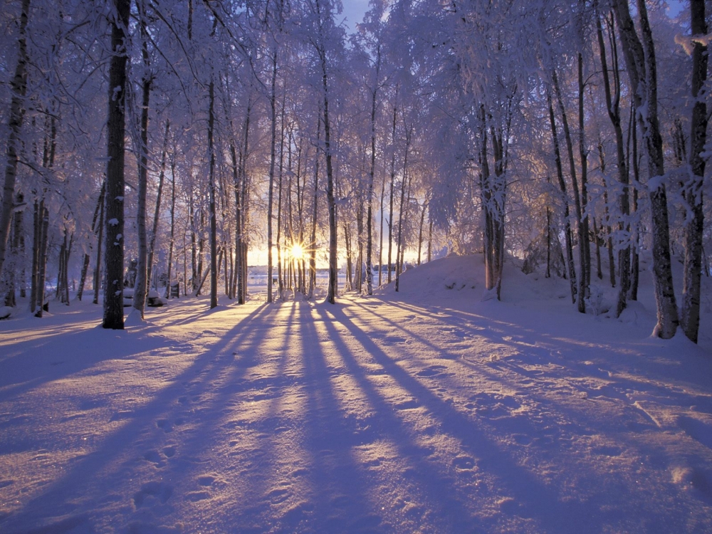 雪景 第二辑