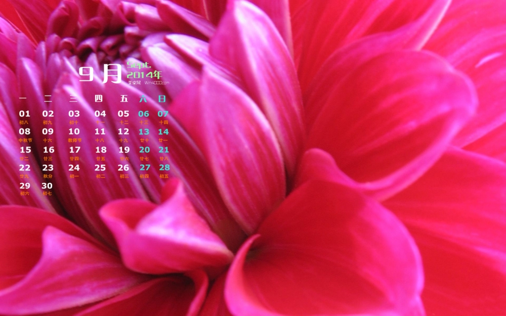 2014年9月日历花草植物大丽花高清电脑桌面主题壁纸