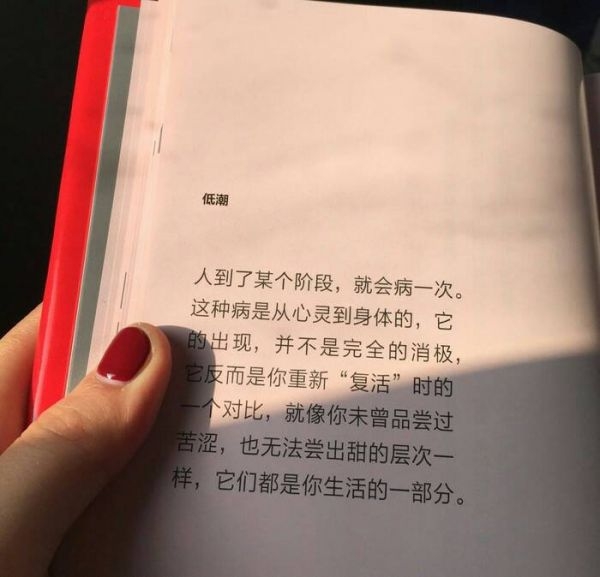 入谁话