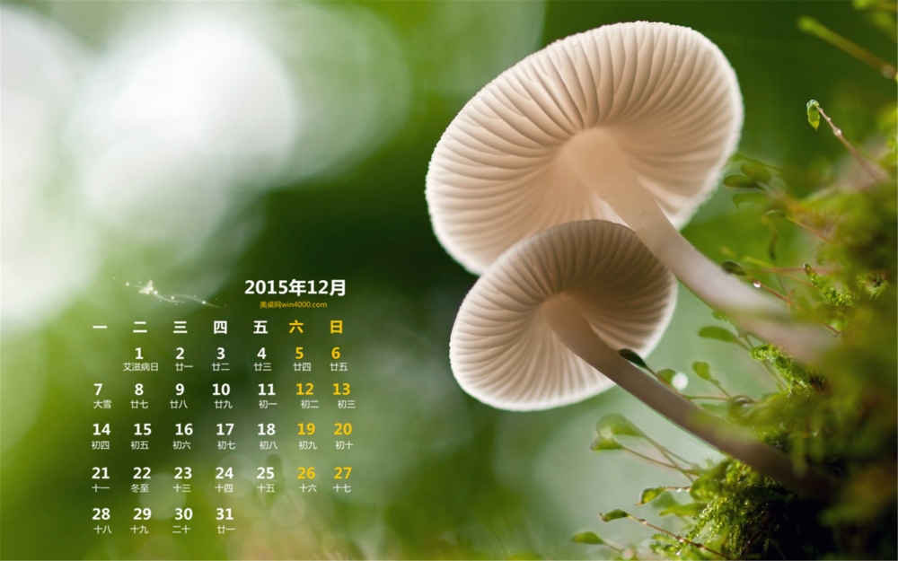 2015年12月份日历小蘑菇图片高清电脑桌面壁纸