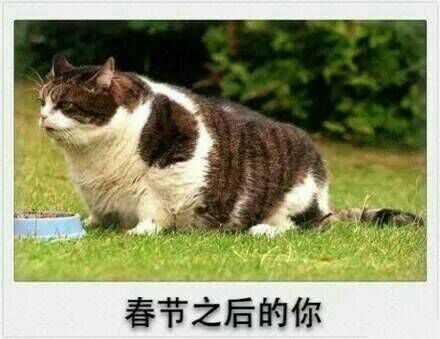 神話:是不是春节的你