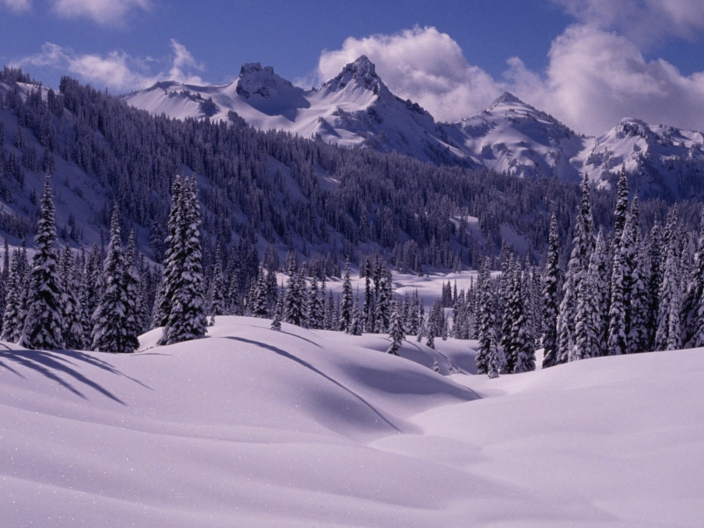 雪景 第二辑