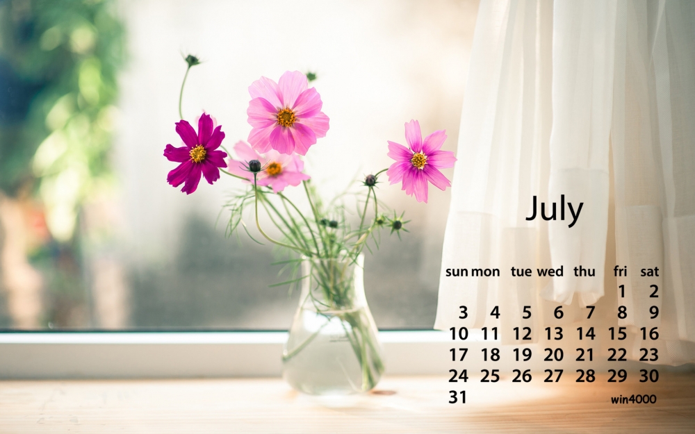 2016年7月日历小清新花朵静物电脑桌面壁纸大全