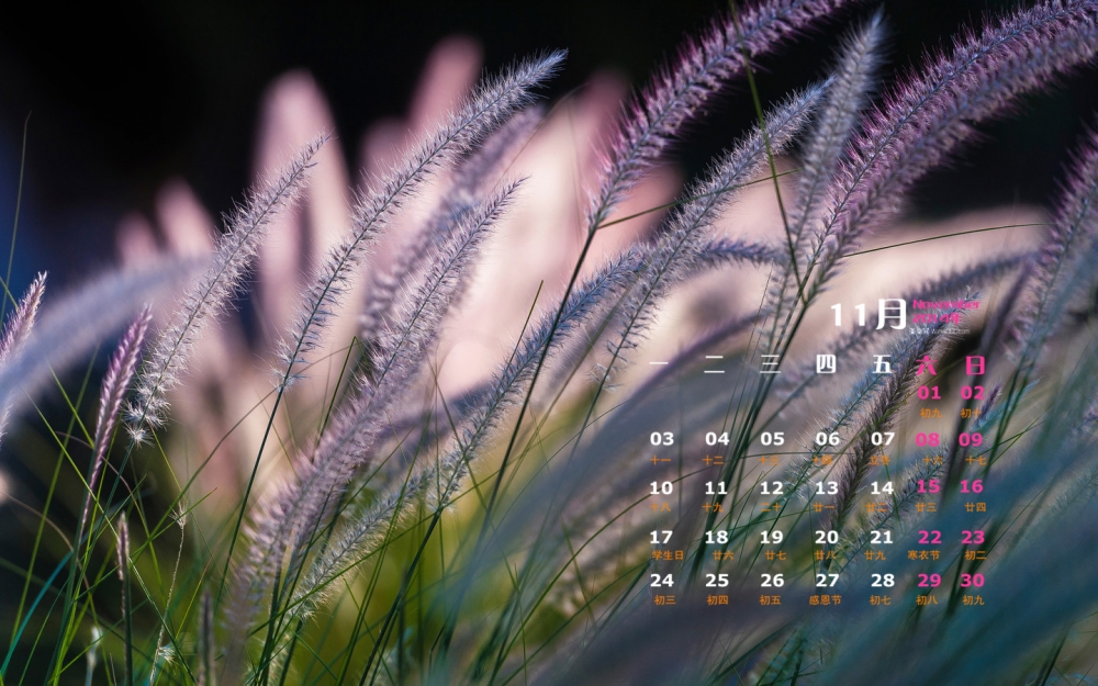 2014年11月日历壁纸清新唯美好看的大自然风景图片合集