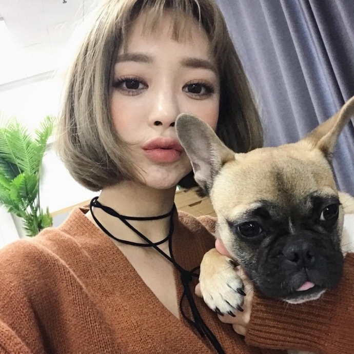 快去养一只吧.