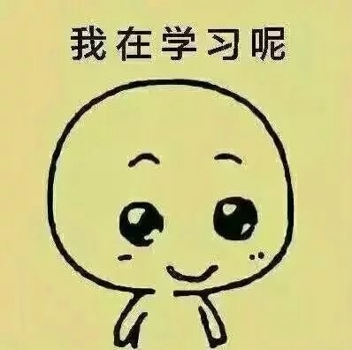 不要问我在干嘛了，除了学习，我还能干嘛！