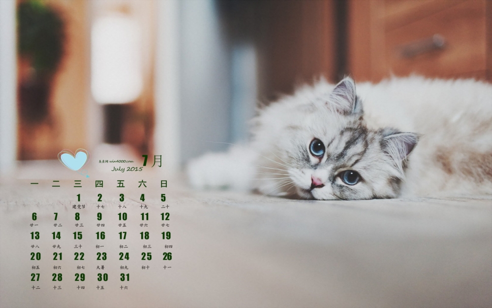 2015年7月日历精选猫躺在地板高清壁纸下载