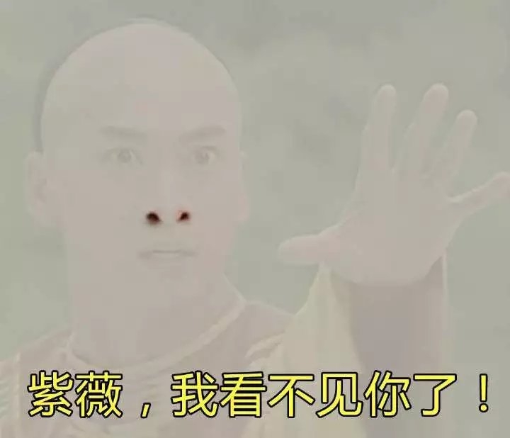 媚儿：雾霾表情包/hhh笑死我了