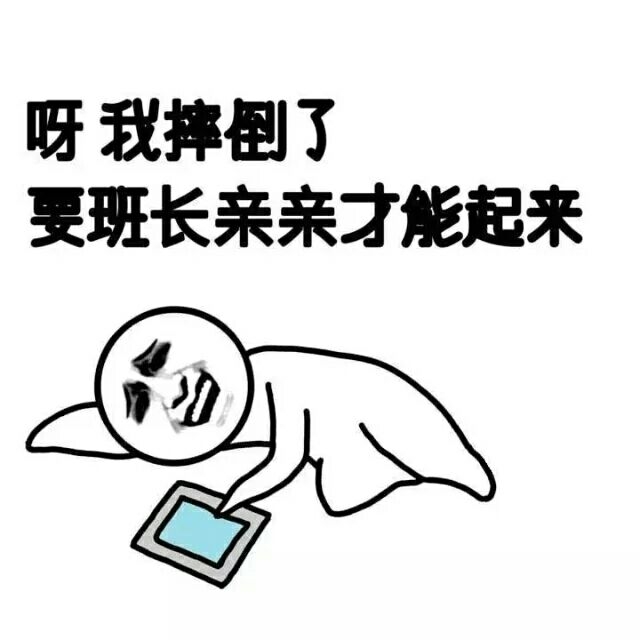 一言不合就发图.