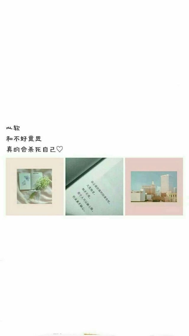 你也喜欢苏橙吗。