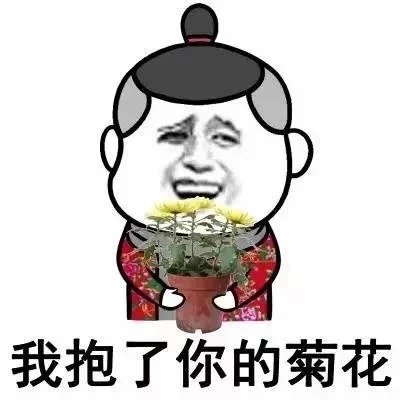 A仔：专斗图表情包