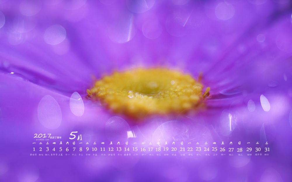 2017年5月小清新植物花卉桌面日历壁纸