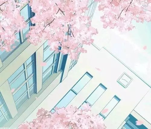 真感情才没有话题