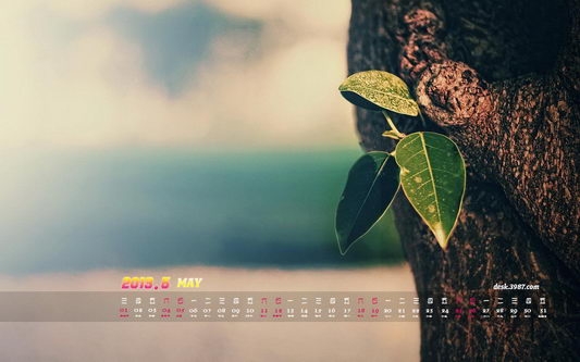 2013年5月月历非主流桌面壁纸