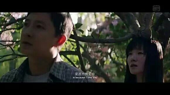 钟意你,要什么原因.