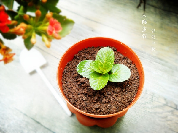 网红奥利奥美食甜点摆盘可爱图片
