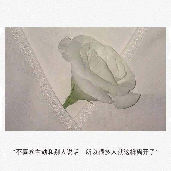 一味的迁就，没人懂你的善良。