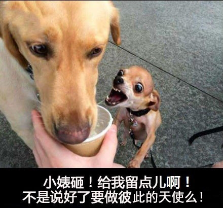 神一般的图片搞笑配文