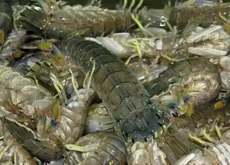 我向你伸手 跟我去威海你走不走
