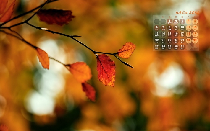 2014年10月枫叶日历电脑壁纸