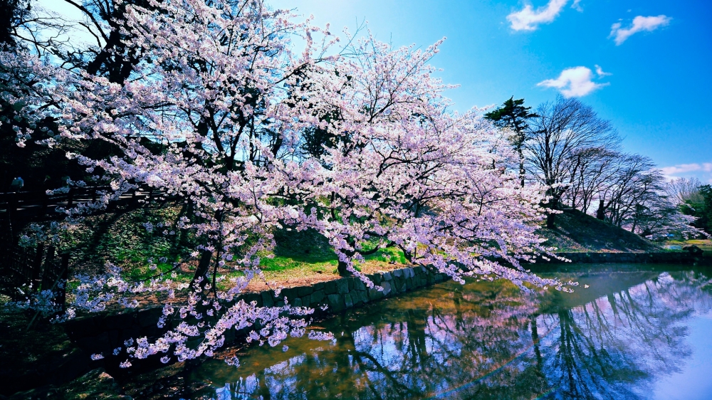 高清风景图片桌面壁纸