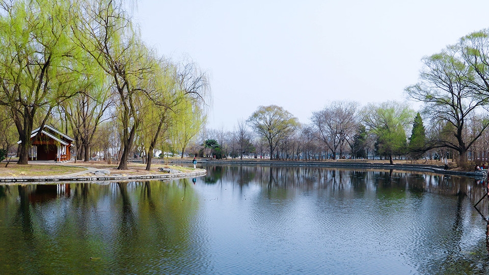 北京玉渊潭公园百花齐绽花草图片