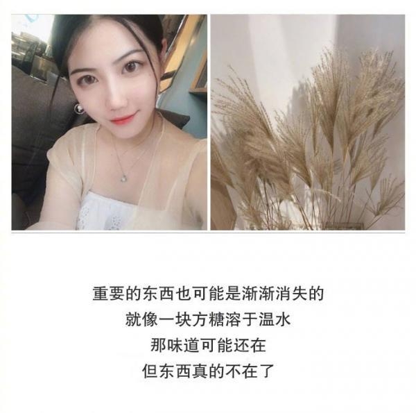 我们没有说再见 只是很默契的不再打扰对方