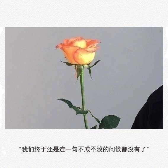 一味的迁就，没人懂你的善良。