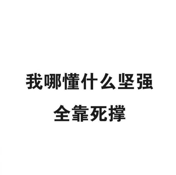 撩我吧，来啊，撩啊