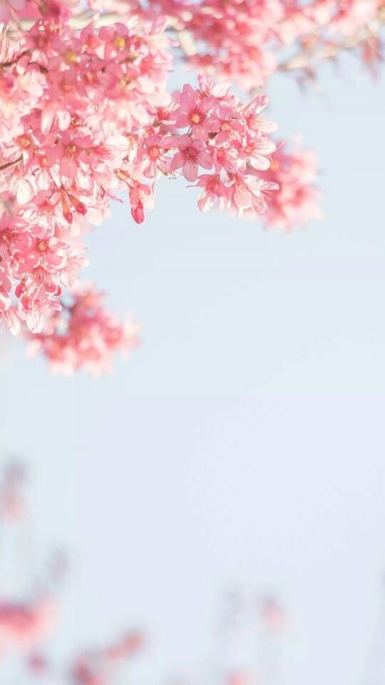 长大真的很没意思 连快乐 都裹着一层苦