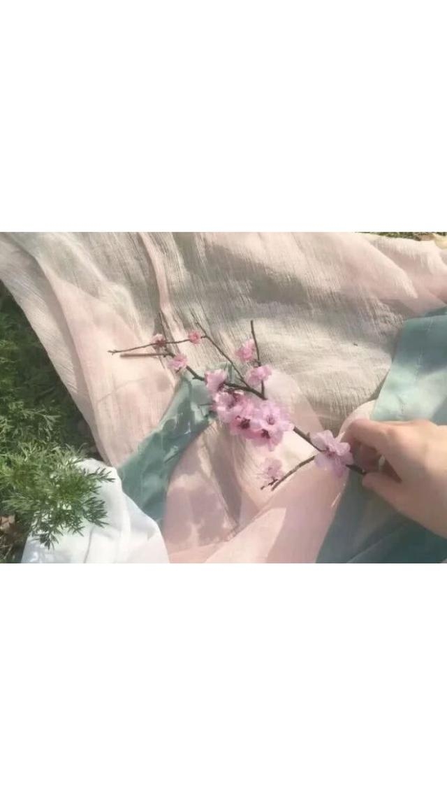 感情什么的真的很影响大哥行走江湖 {头像}