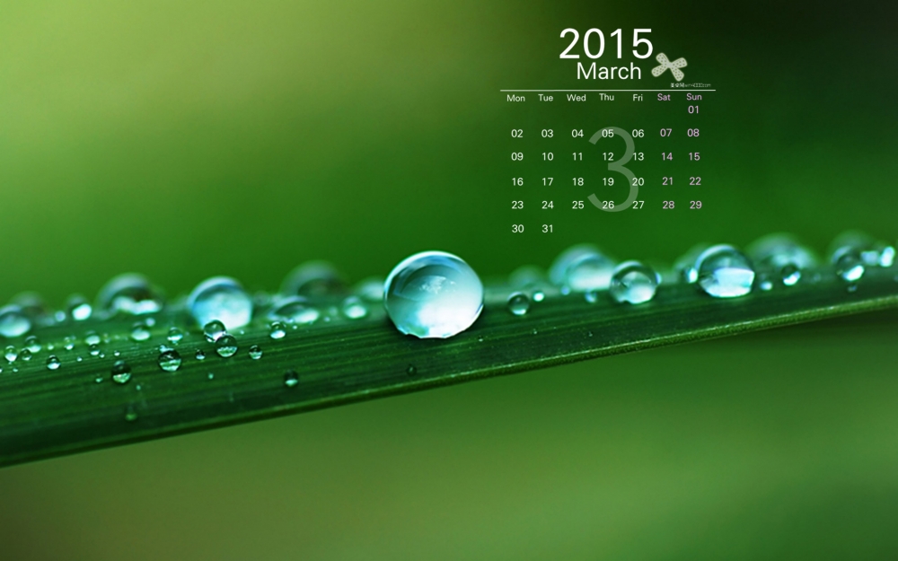 2015年3月日历精选唯美绿色保护眼睛的植物高清桌面壁纸图片
