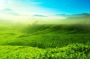 风景图片：清新的山水风景