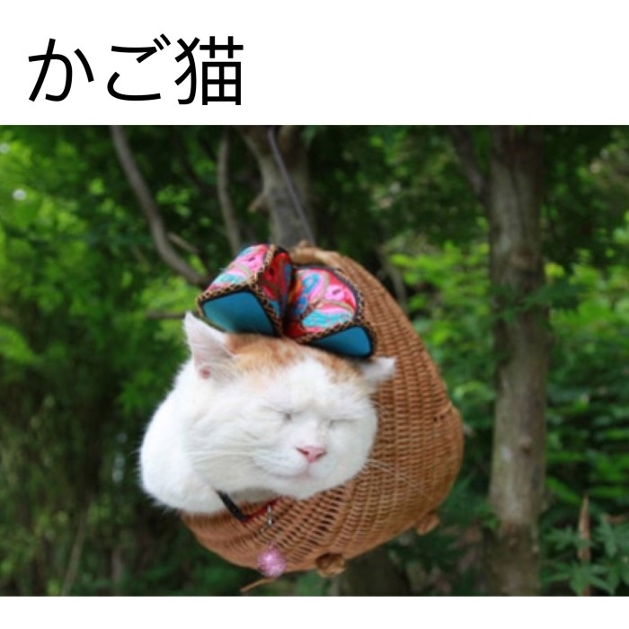 看不见我     看不见我