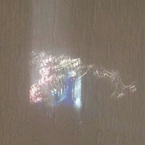 别去计算日子 我能爱你一辈子