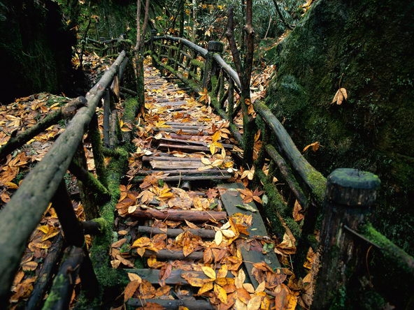 三月精美壮丽自然风景图片