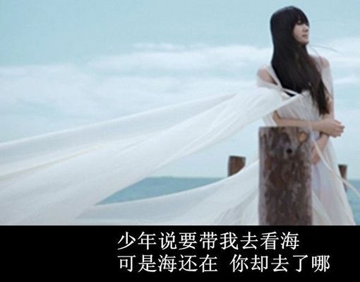 我抱着你给我的世界，却始终找不到我的归宿